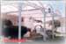 Estructuras especiales